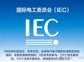 中外標(biāo)準(zhǔn)咨詢(xún)服務(wù)