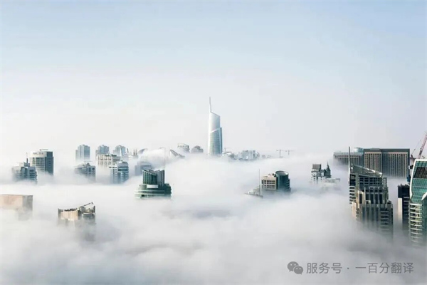 中外標準咨詢服務(wù)